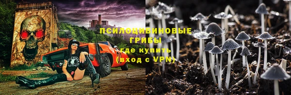 МДПВ Белокуриха